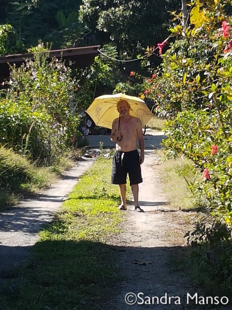 thaïlande parapluie soleil