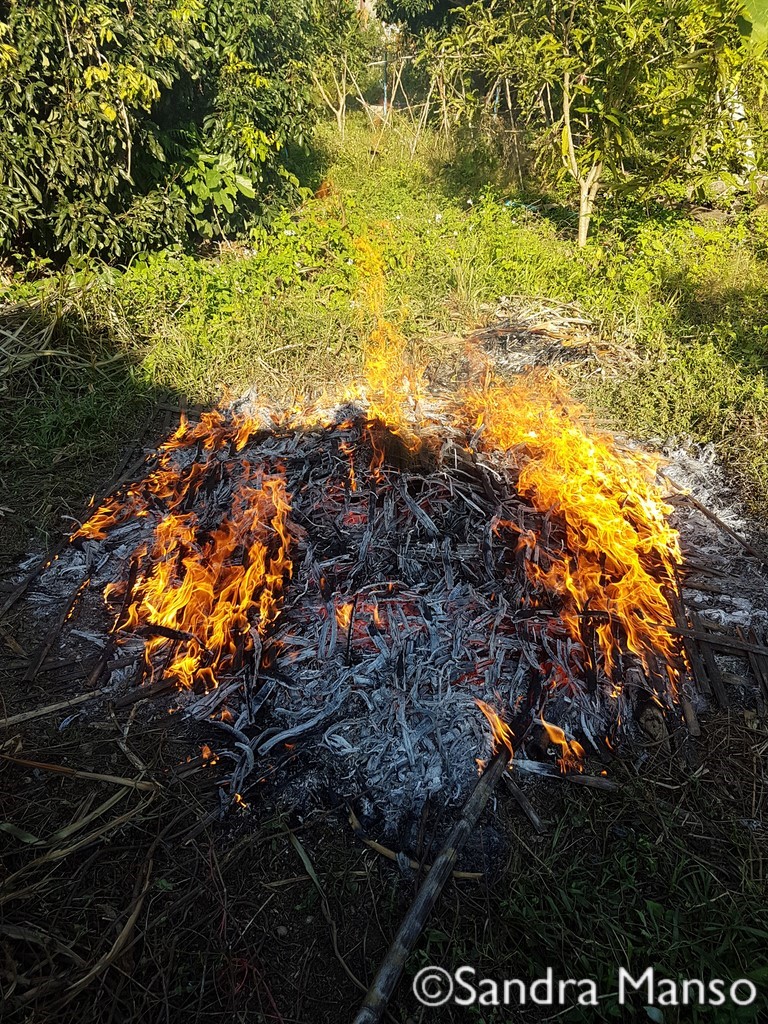 thaïlande feu