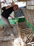 thaïlande nid poulailer canard