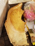 thaïlande bois sacré bouddha arbre jaquier  jakfruit