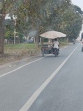 thaïlande scooter transformation